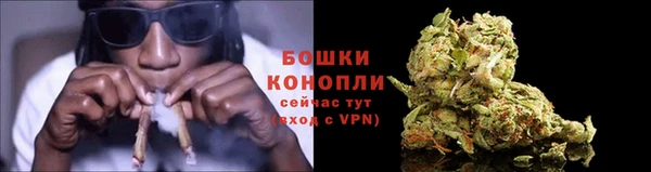 молекула духа Беломорск