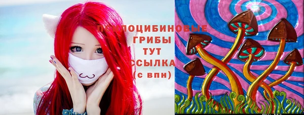 прущая мука Белокуриха