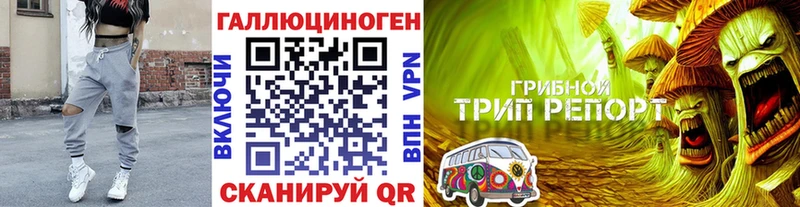 Галлюциногенные грибы MAGIC MUSHROOMS  Светлый 
